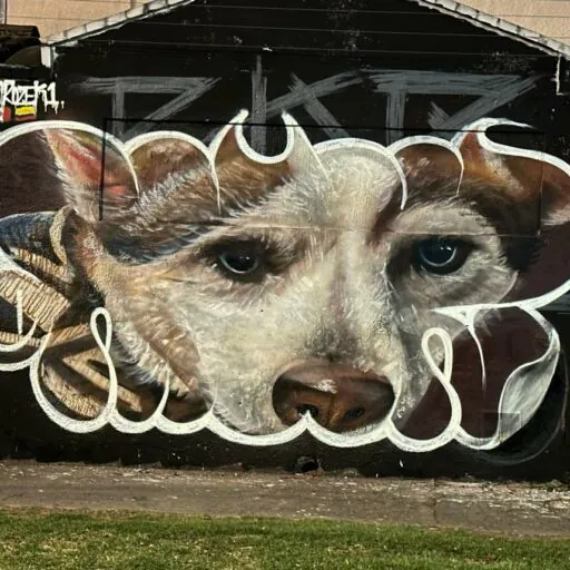 1465cc41 afae 4609 a297 36a4e00df338 - Meeting of Styles: International Street Art & Graffiti