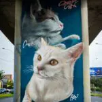 LIM23 webpic 36 - Meeting of Styles: International Street Art & Graffiti