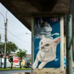 LIM23 webpic 38 - Meeting of Styles: International Street Art & Graffiti