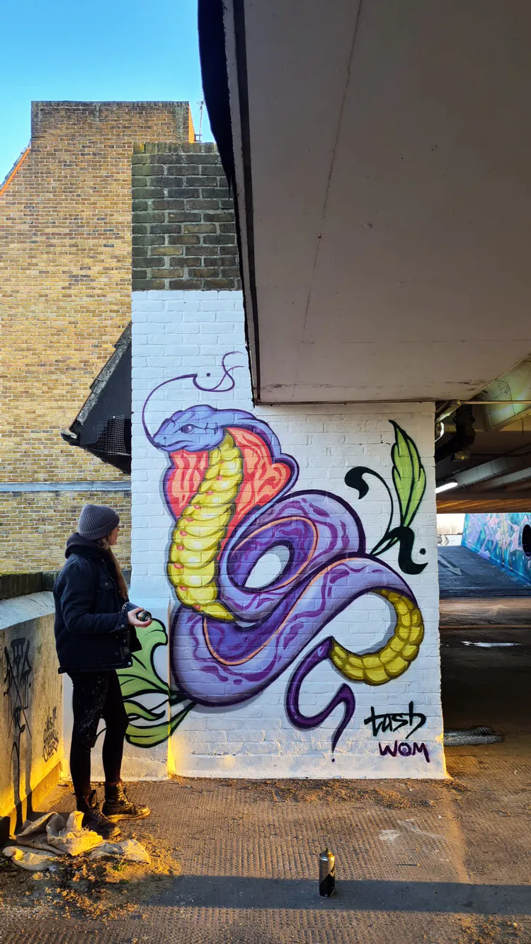 Tash 2 - Meeting of Styles: International Street Art & Graffiti 355C44E2 C393 40C9 9E4B 86BF552CEEBE