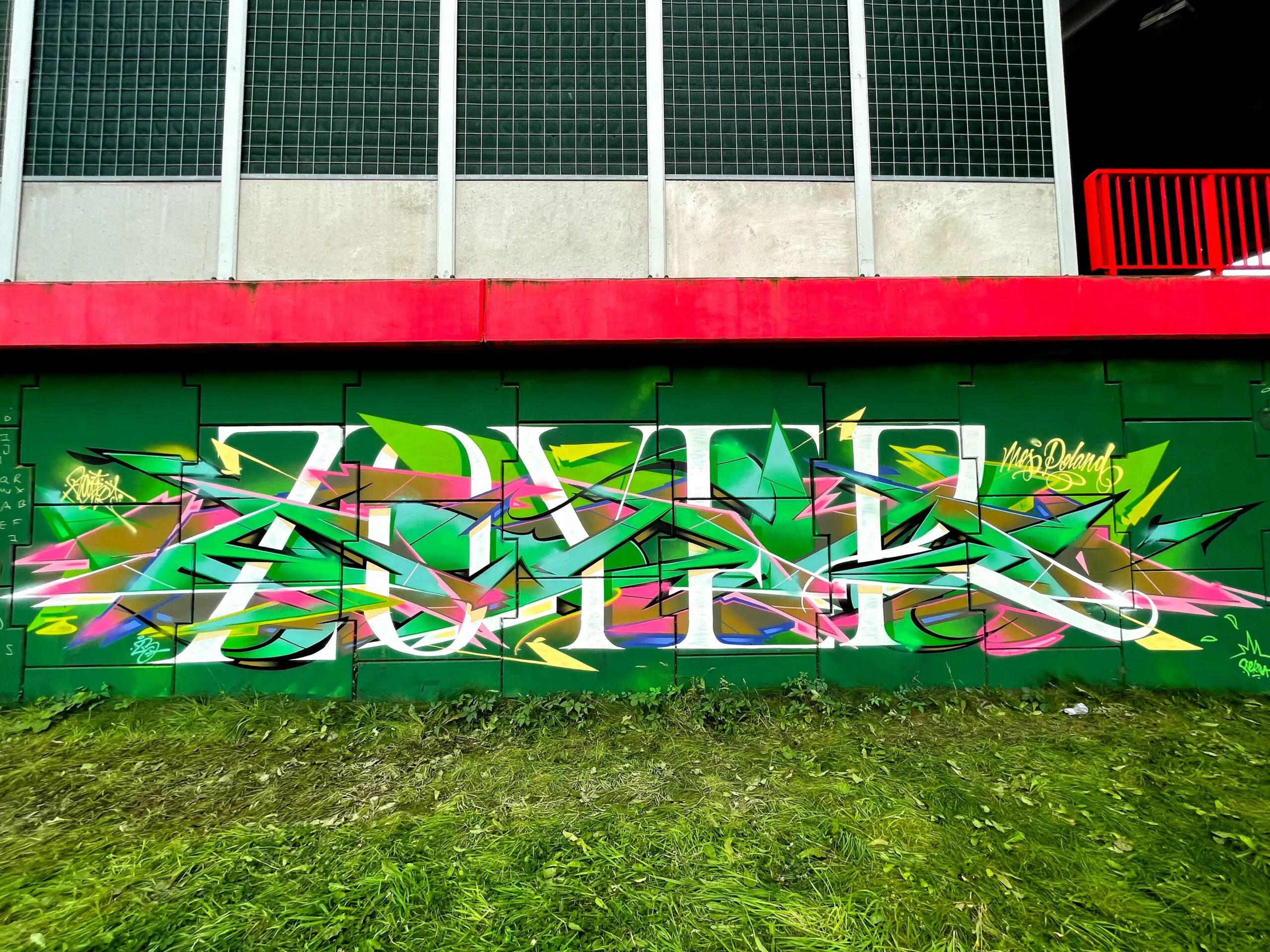 Zoyer
