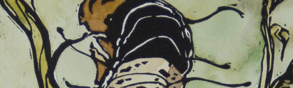 User banner image