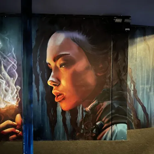Shauna. Pyromancer - Meeting of Styles: International Street Art & Graffiti