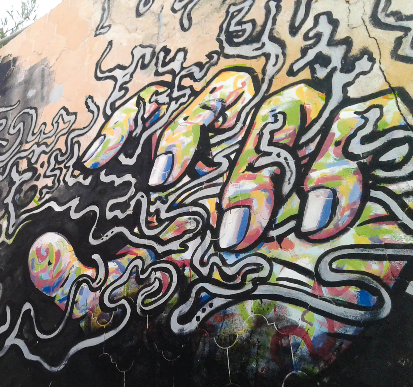 caiacoma20170722 053231