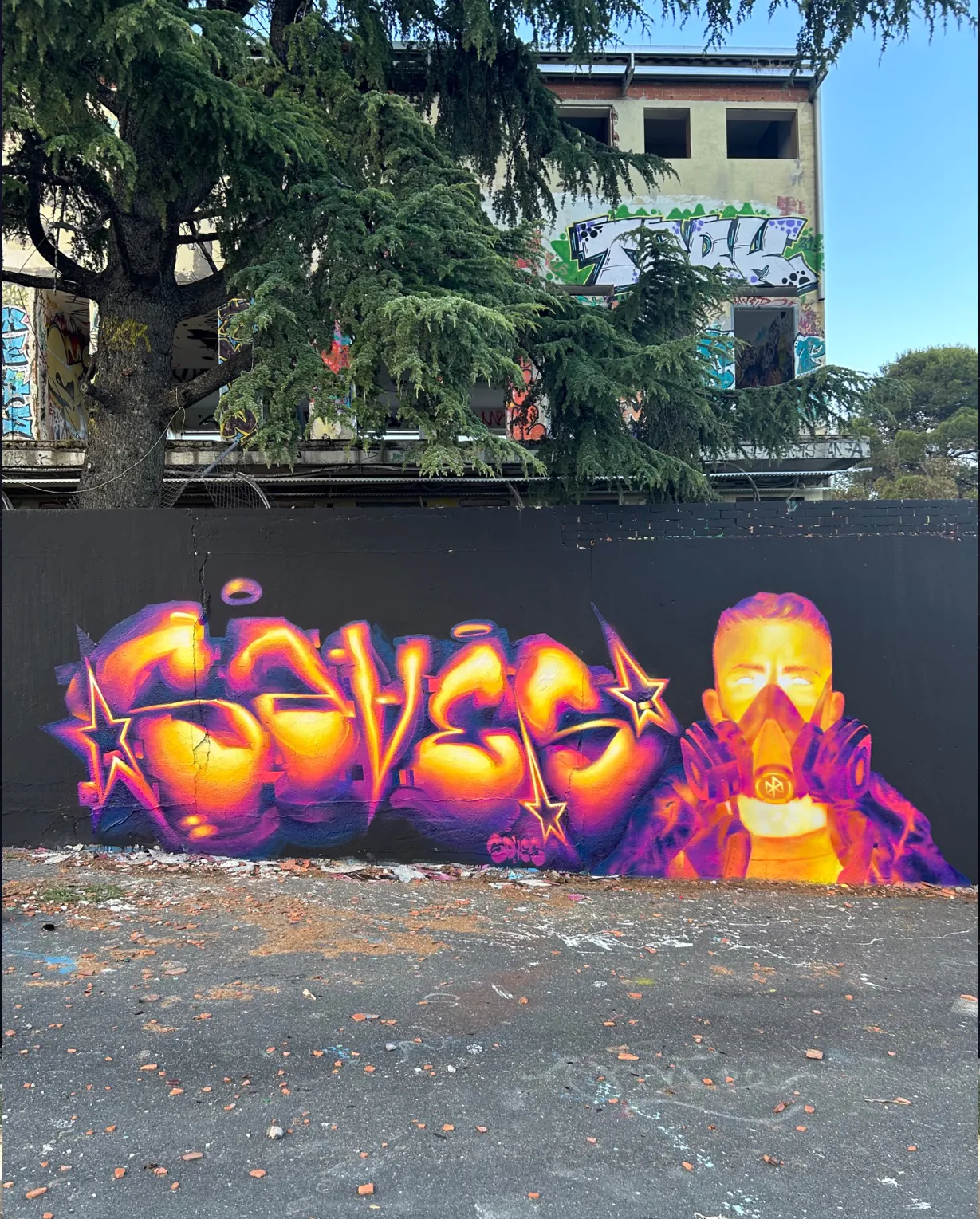 Saves 2 - Meeting of Styles: International Street Art & Graffiti IMG 0553 1