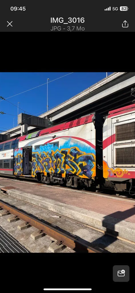 IMG 20231229 105629 01