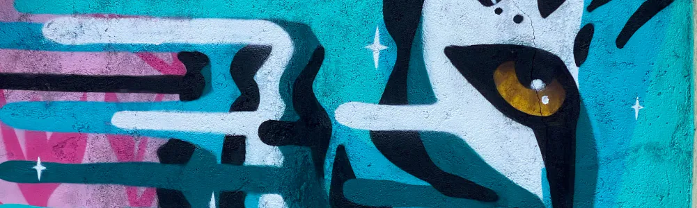 User banner image