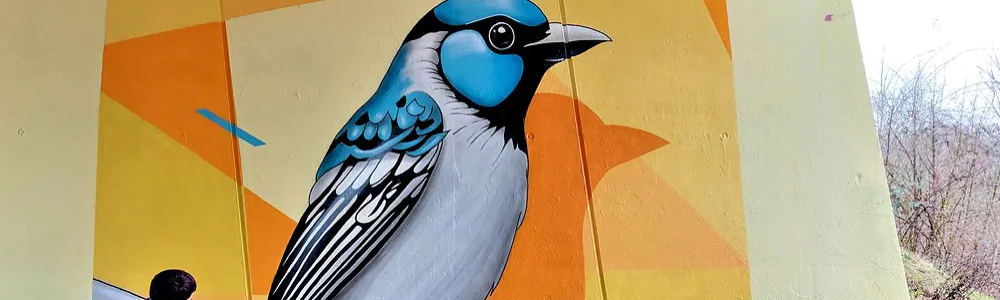 User banner image