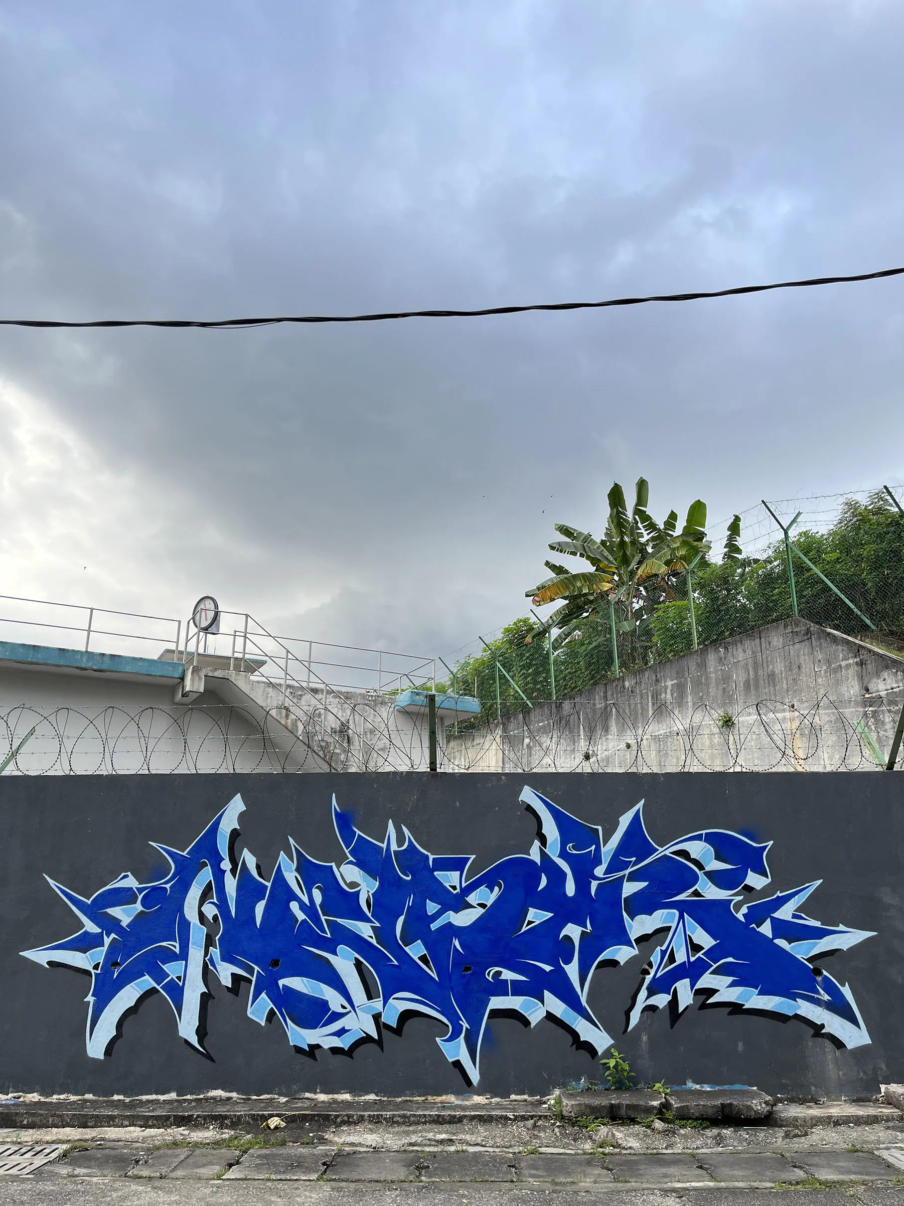Nesyr Blue 2