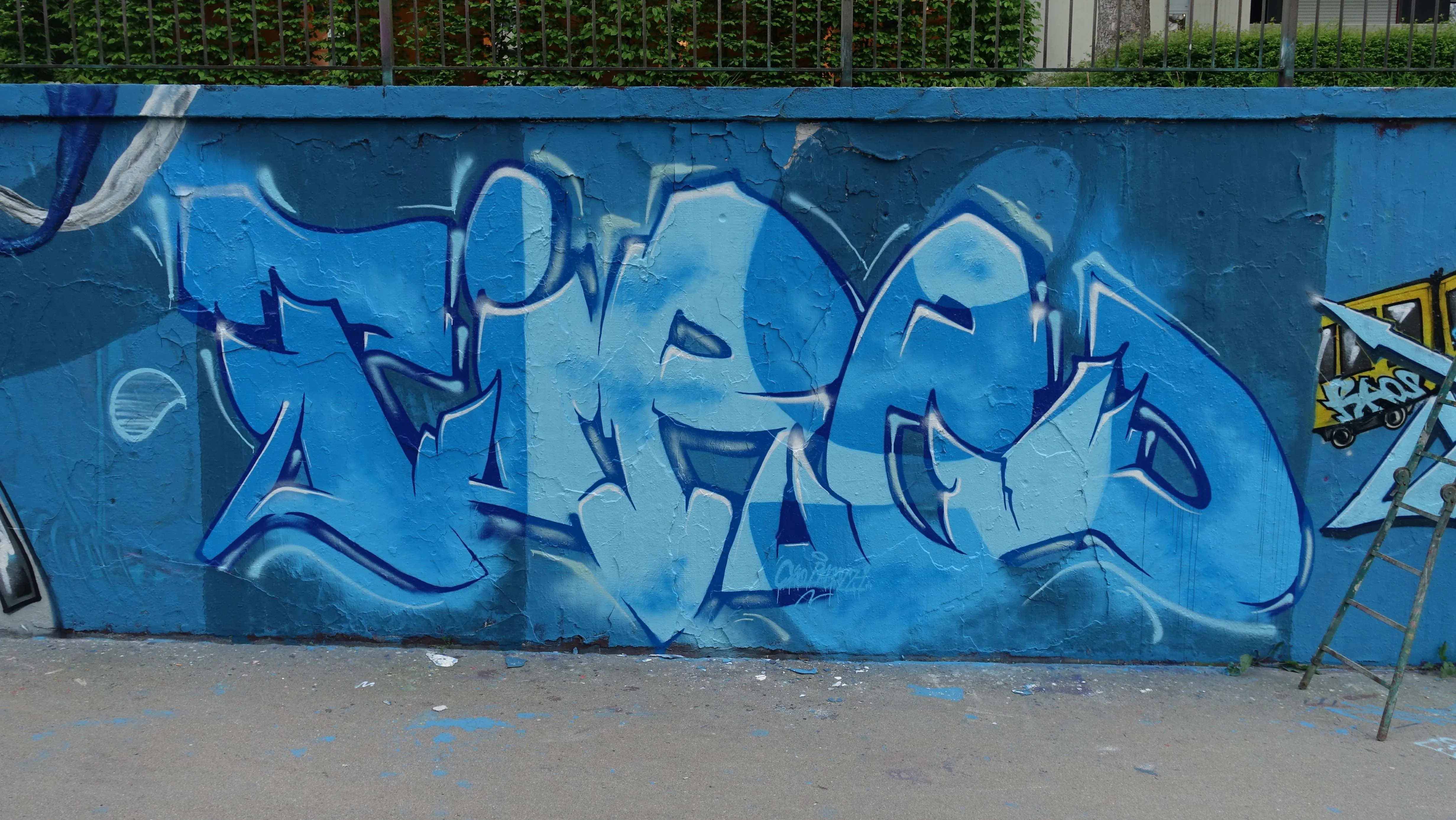 SenzBlau 1