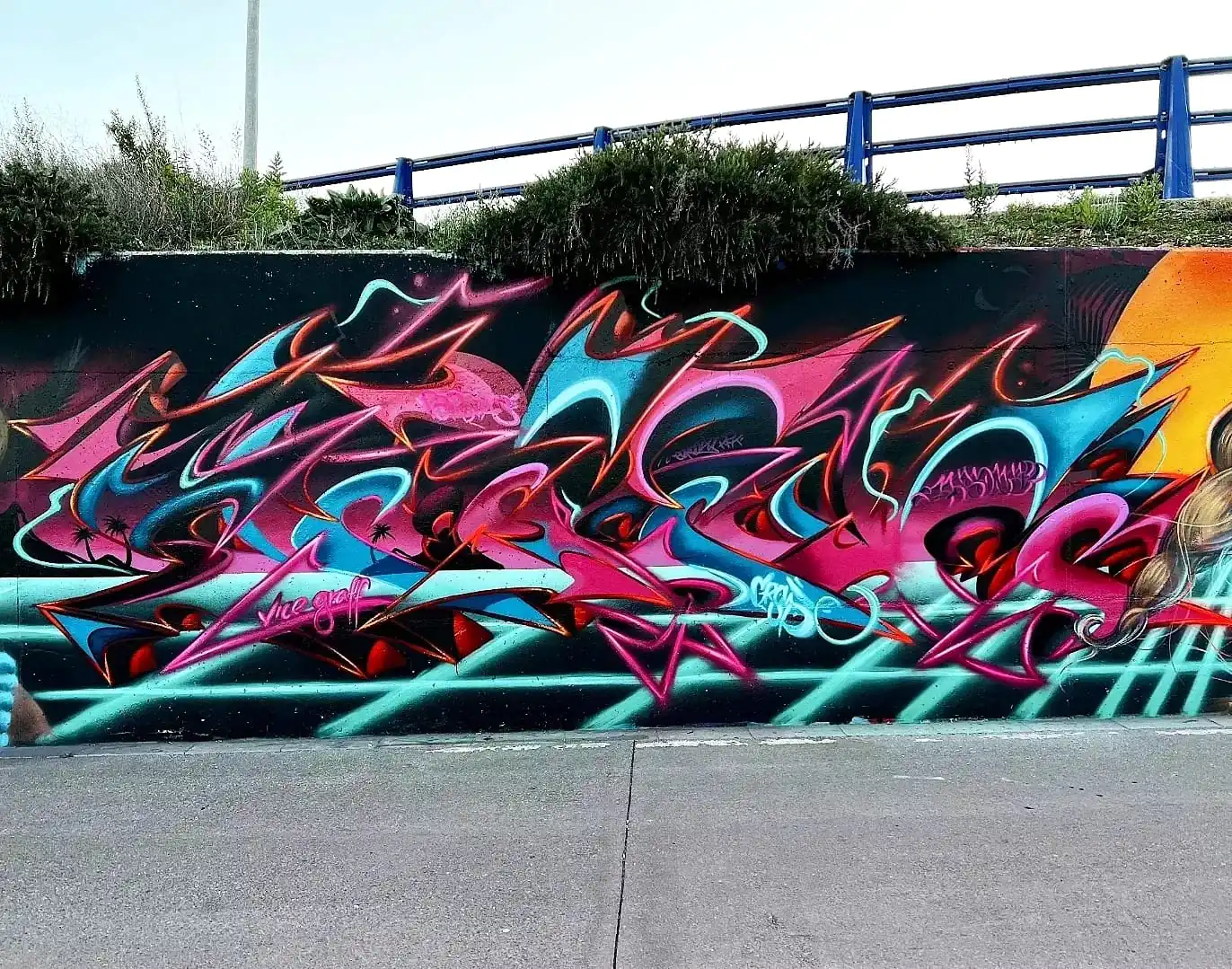 WhatsApp Image 2023 02 01 at 16.20.18