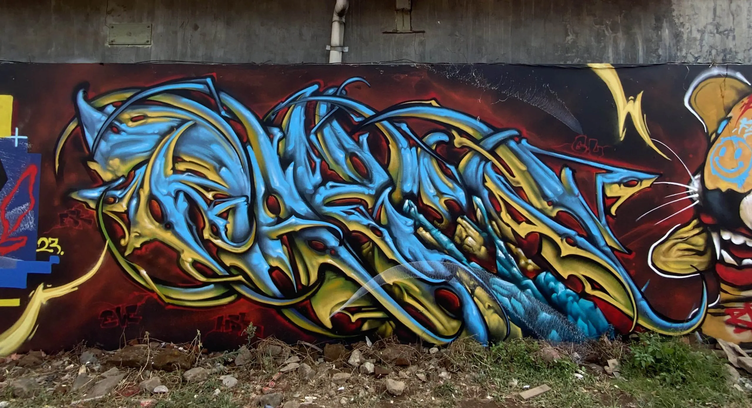 rakon3