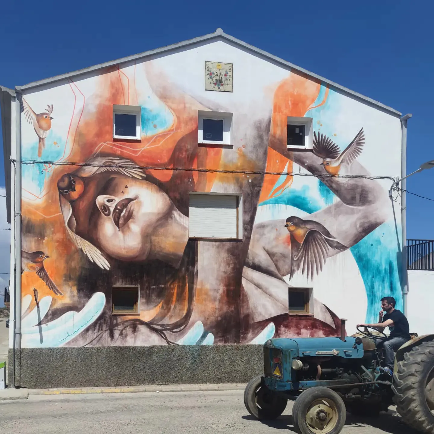 les oiseaux comme lamour