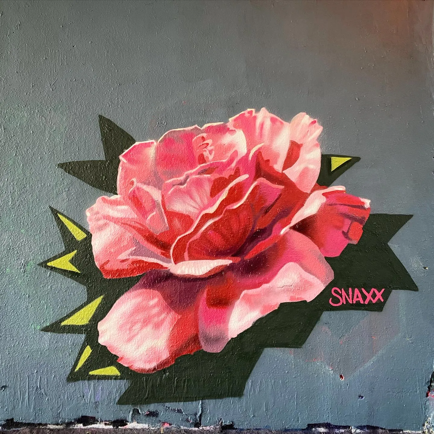 Concrete Rose Concrete Rose