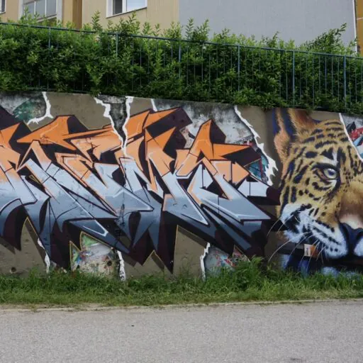 IMG 1226 - Meeting of Styles: International Street Art & Graffiti