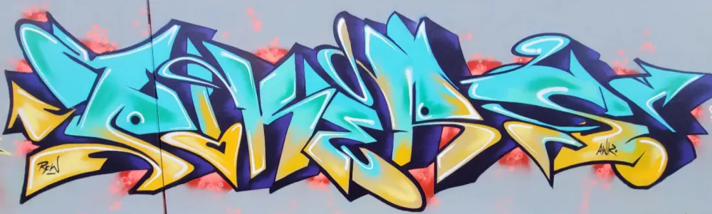 User banner image