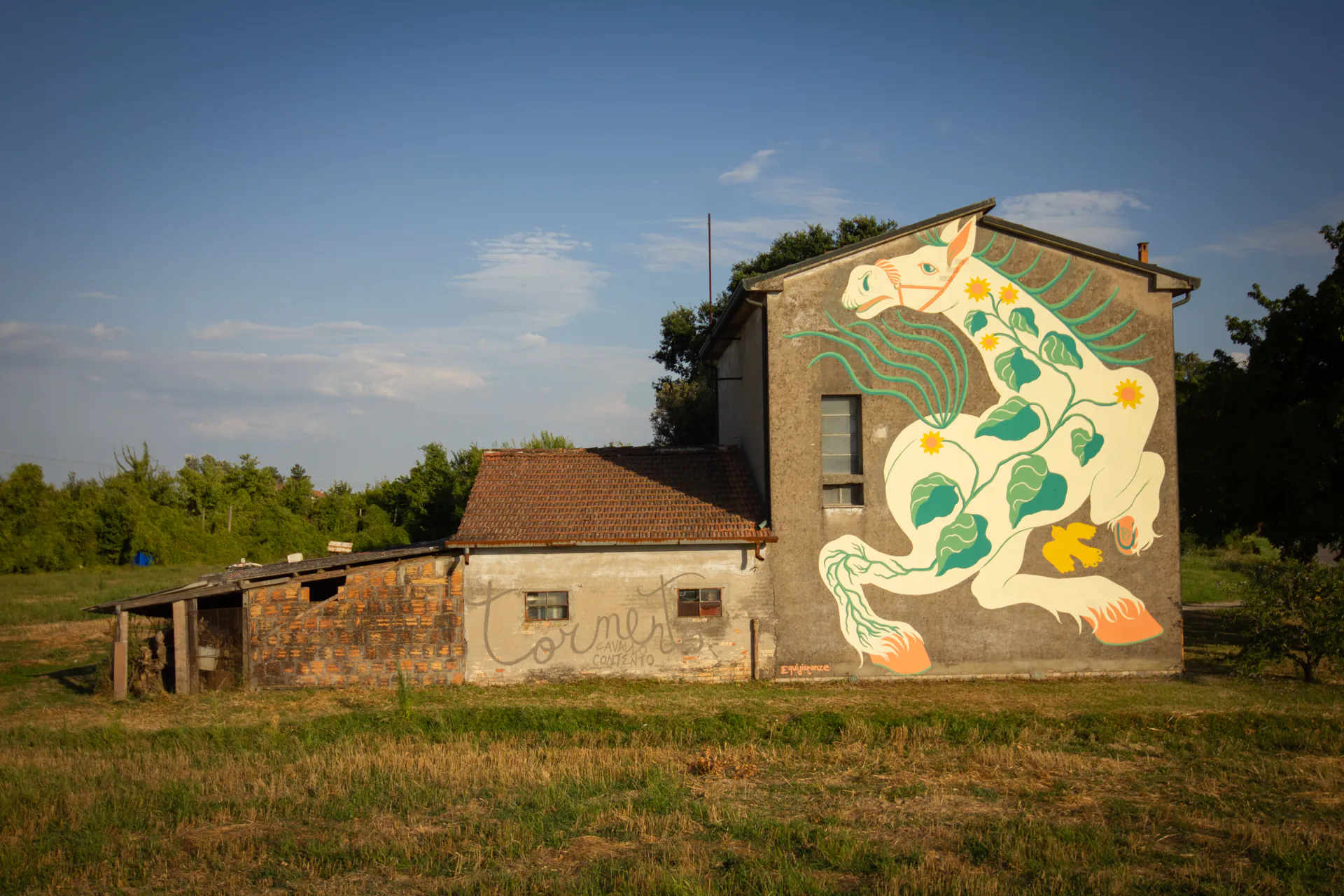 ROSMUNDA 4 - Meeting of Styles: International Street Art & Graffiti IMG 6418