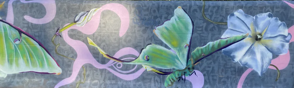 User banner image