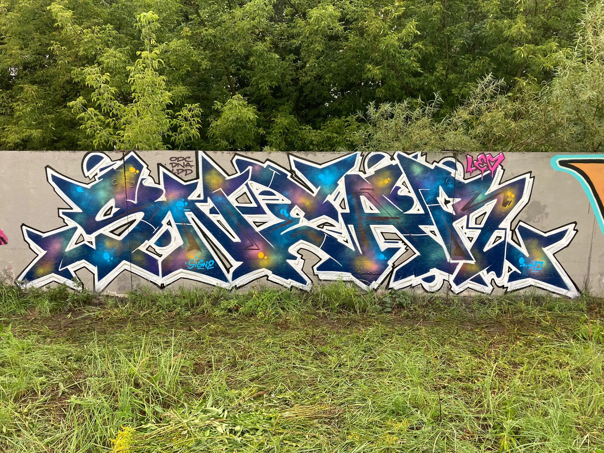 snear 2023 augusts 1