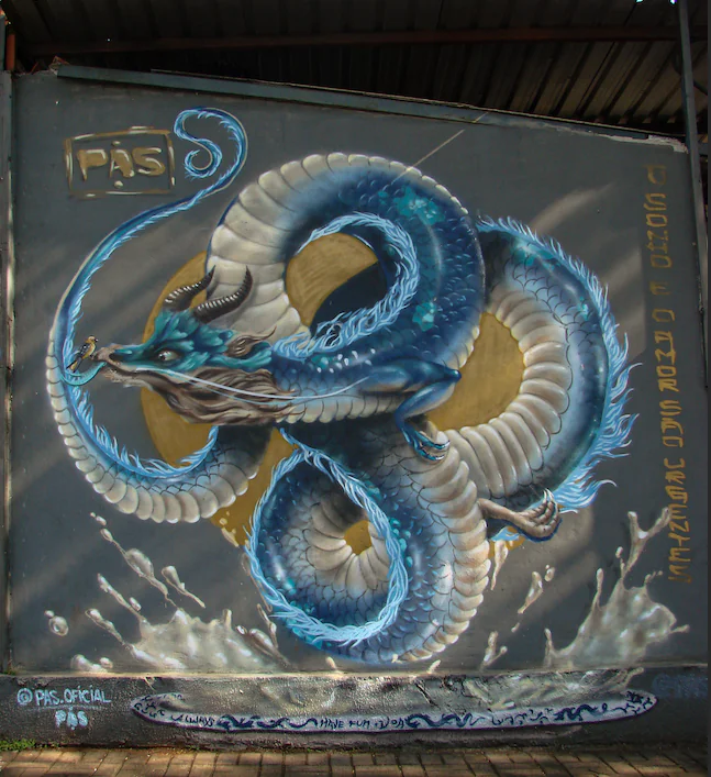 Pas