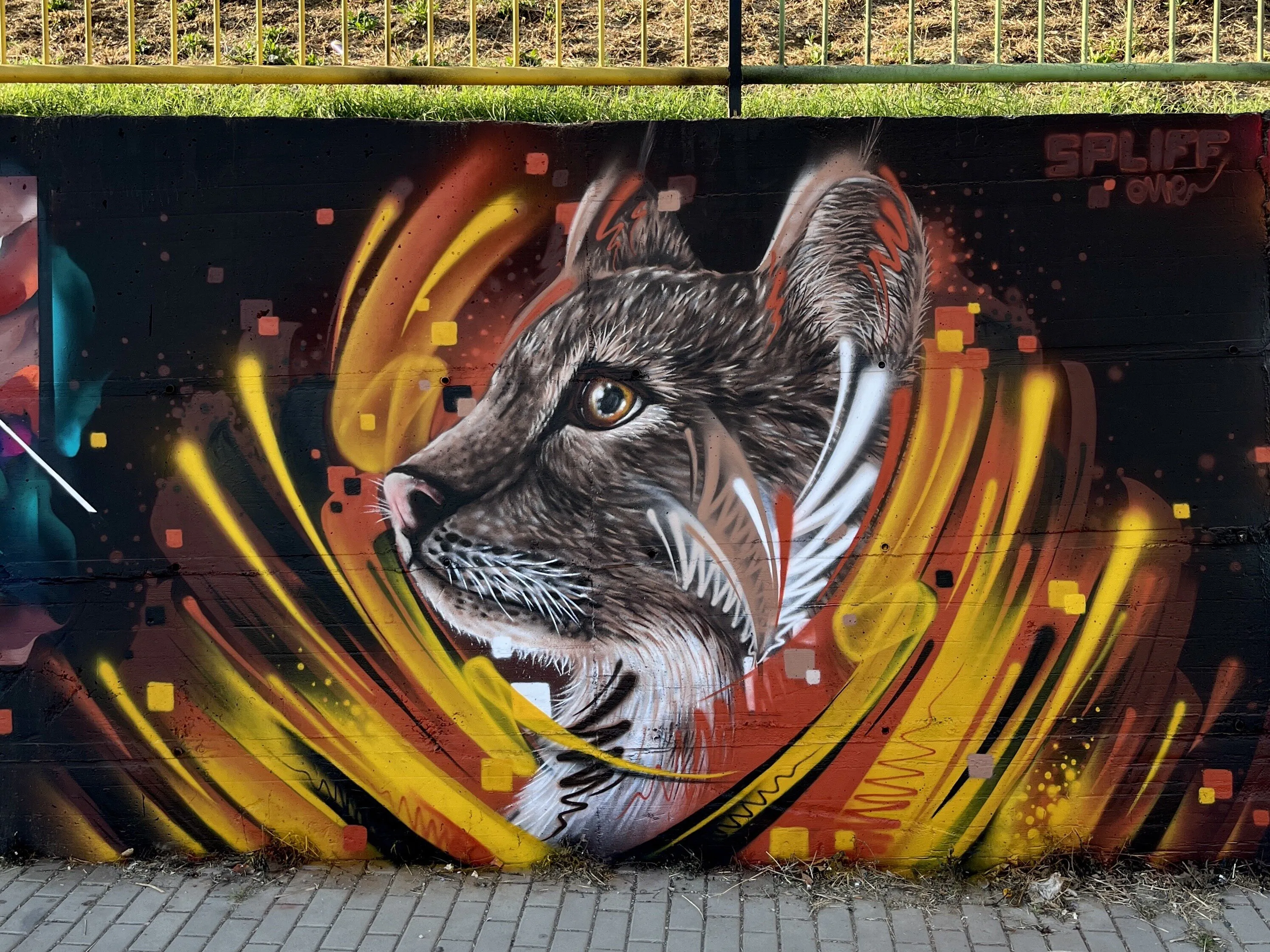 SPLIFF one 3 - Meeting of Styles: International Street Art & Graffiti IMG 5141 1