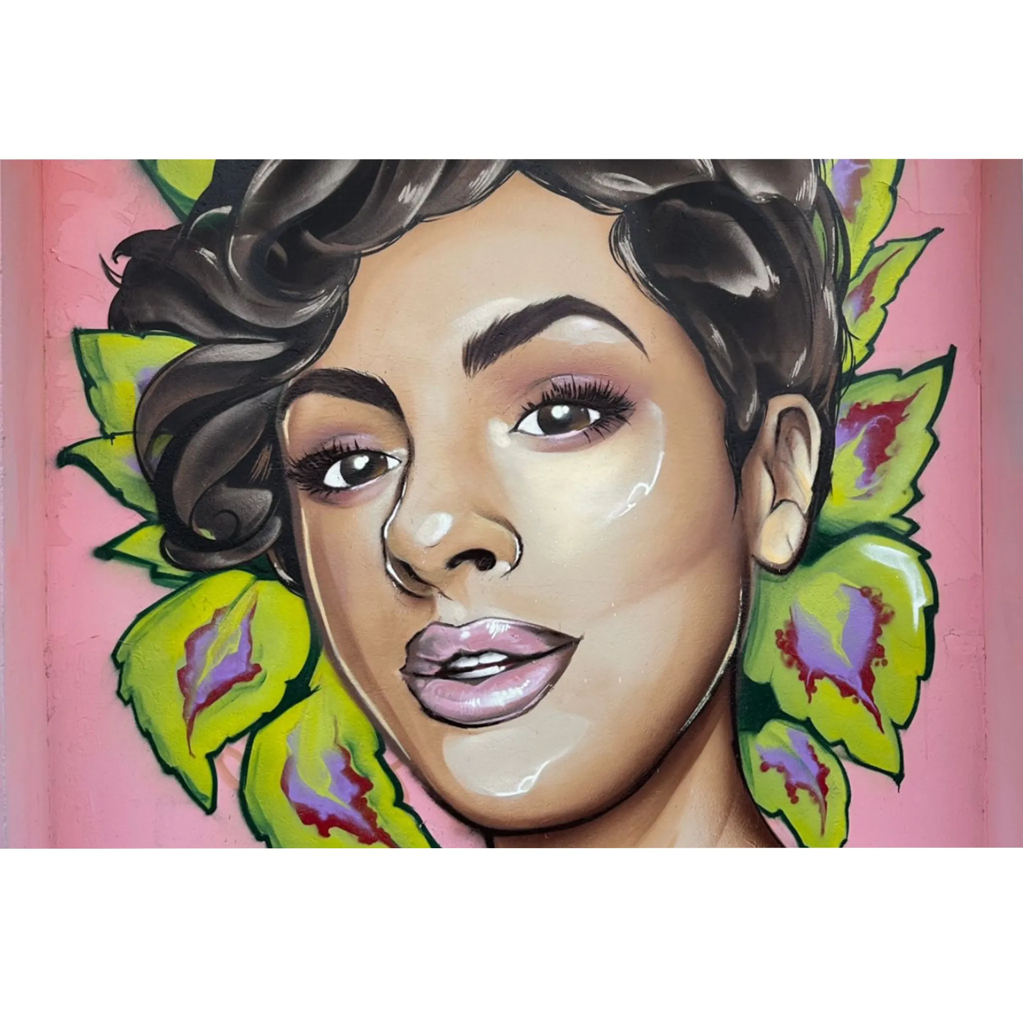 Illustration sans titre