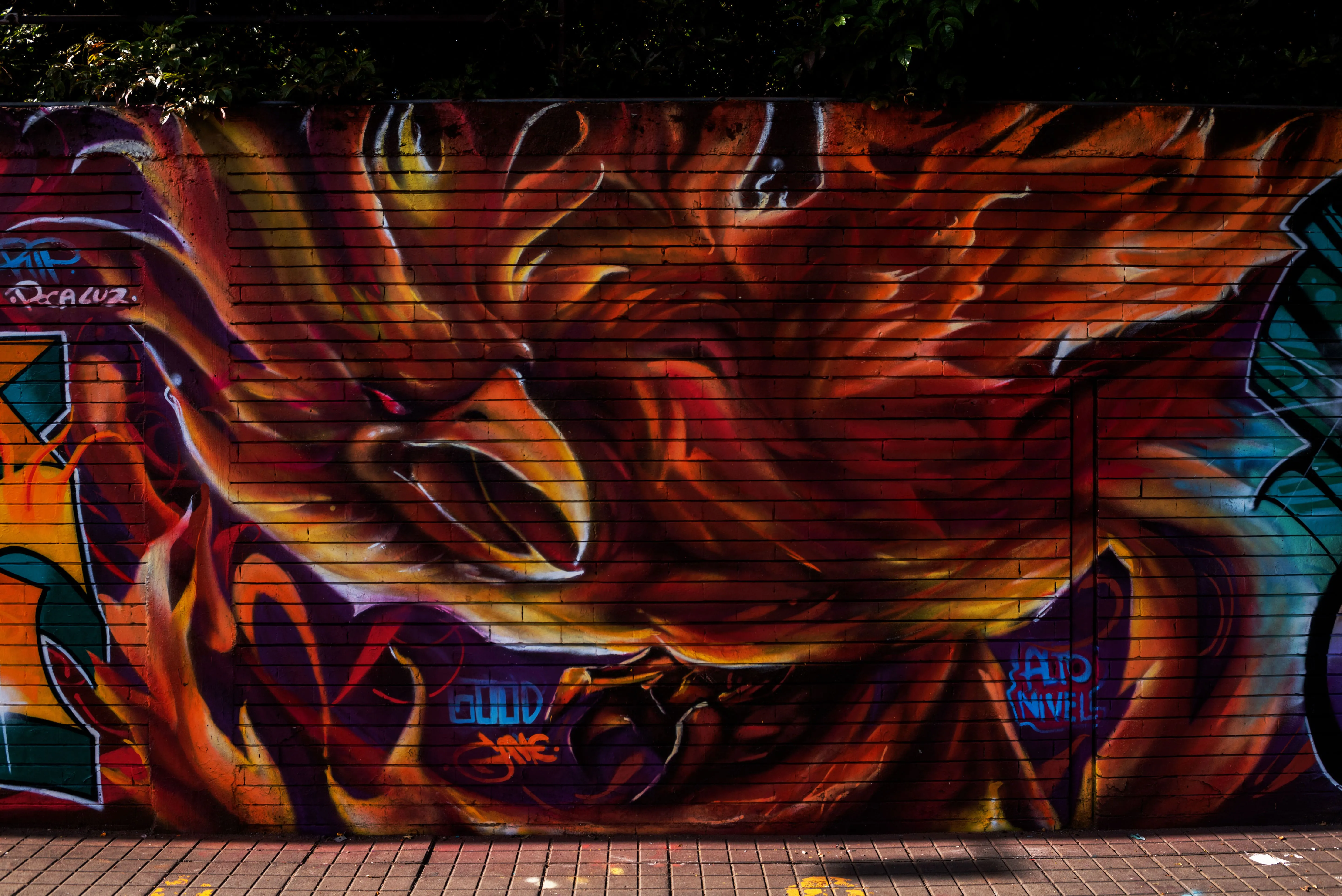 Smcart Vital 2 - Meeting of Styles: International Street Art & Graffiti MURO FENIX1 1