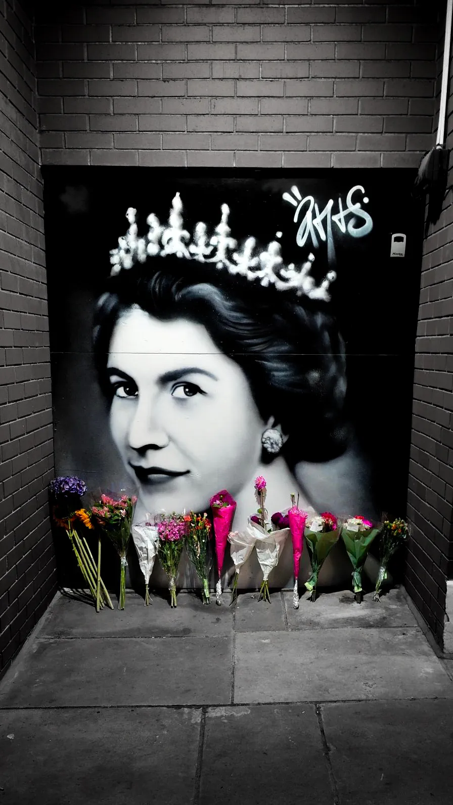 ANTS 3 - Meeting of Styles: International Street Art & Graffiti QUEEN ANTSGRAFF