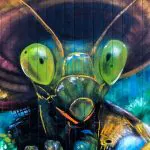 WSB24 walls wolfgang Bosbach web - Meeting of Styles: International Street Art & Graffiti