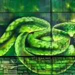 WSB24 walls wolfgang Bosbach web 76 77 80 81 Naturlich Panorama 2 2 2 2 2 2 2 - Meeting of Styles: International Street Art & Graffiti