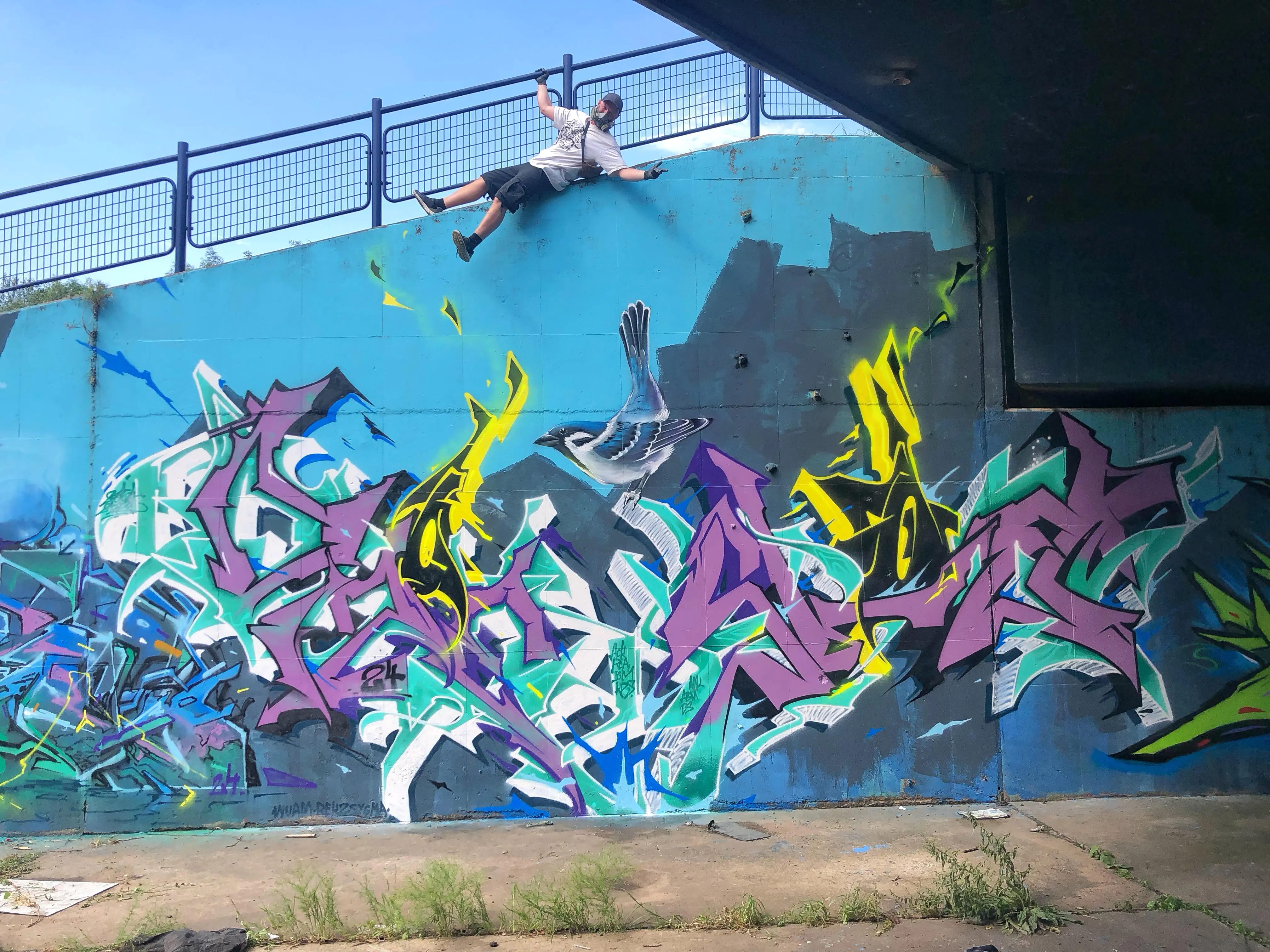 dizoe sloe 1