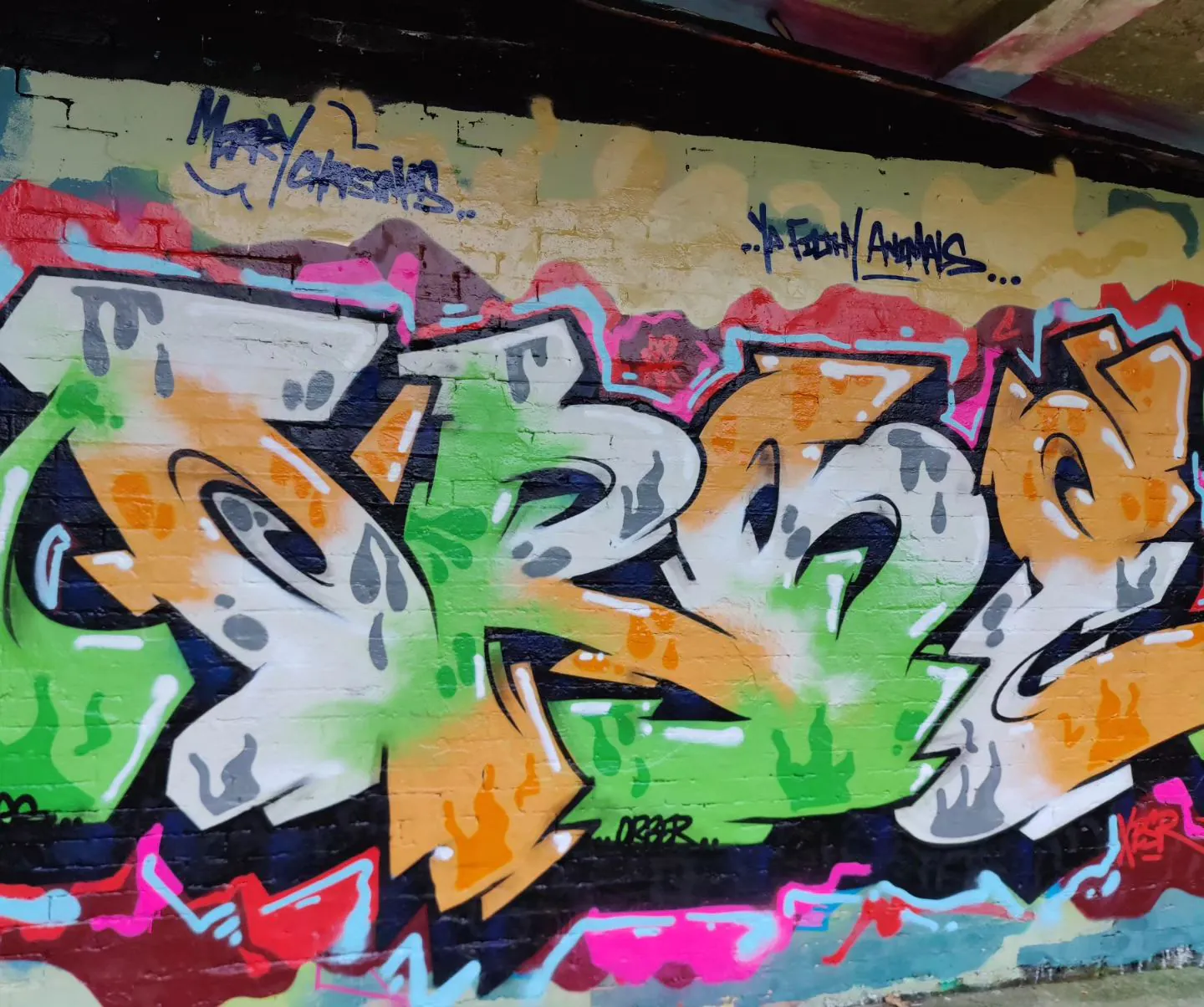 412651451 691602439771134 6691570797725467249 n