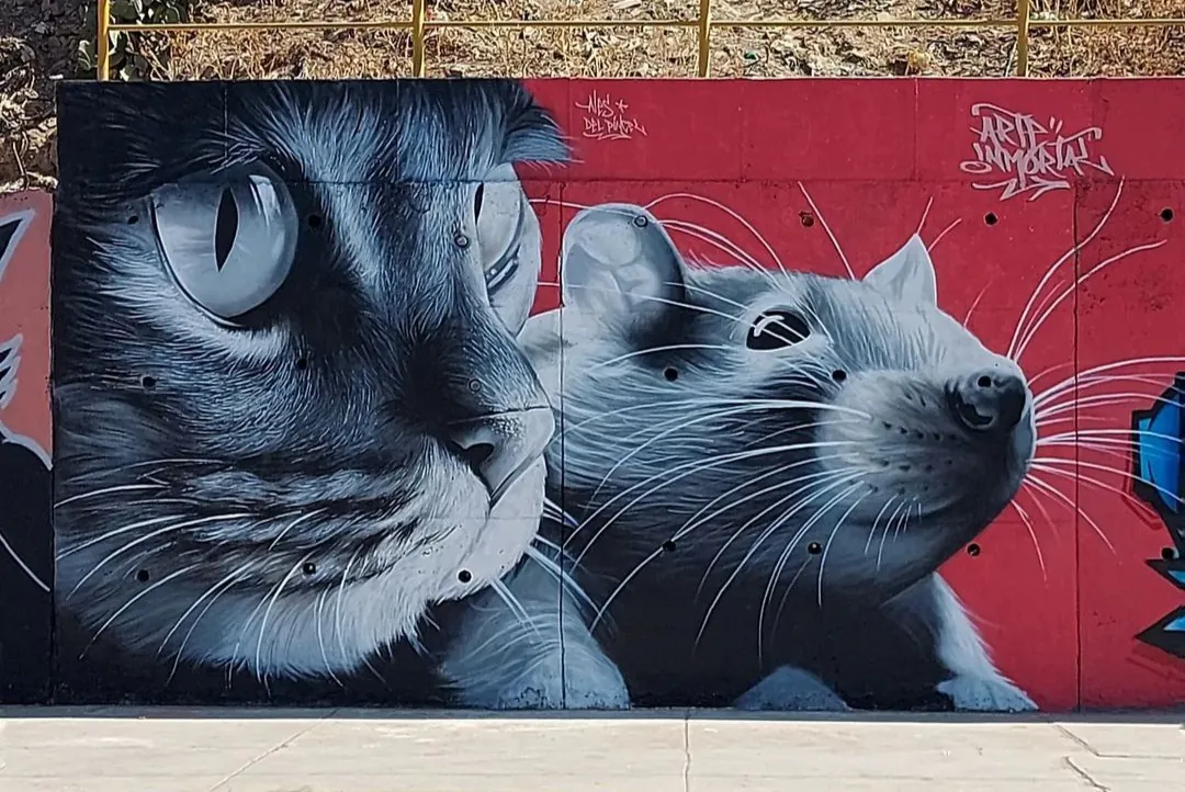 Screenshot 20240513 152809 Instagram 1