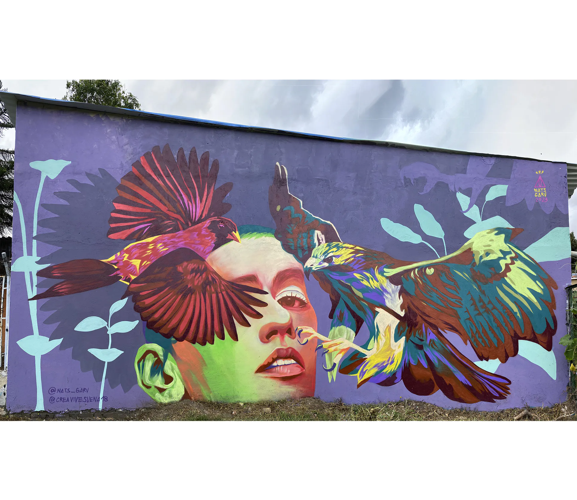 tengo garras 1 copia