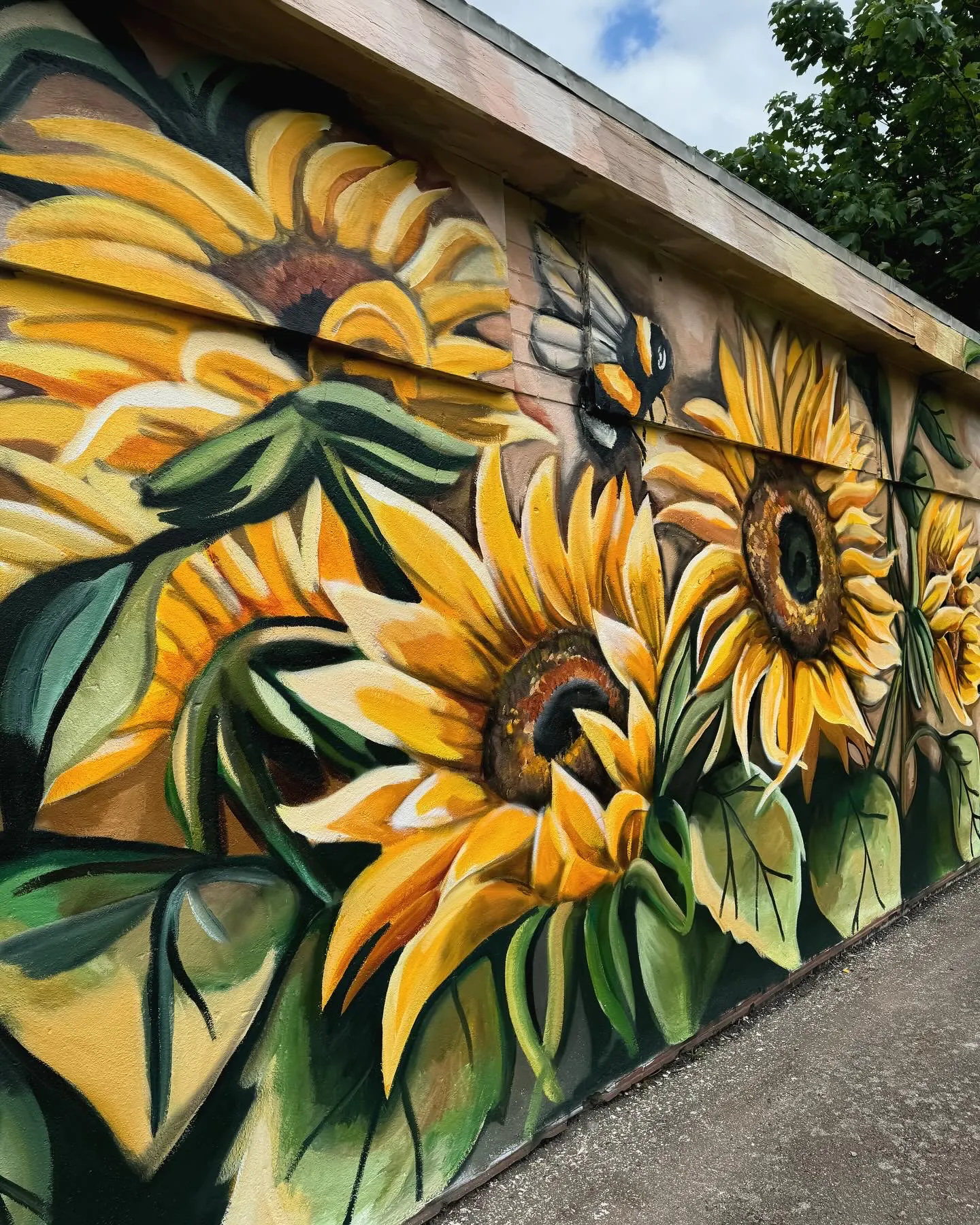 6E350B73 CCC1 453C 9155 103BD81586E9