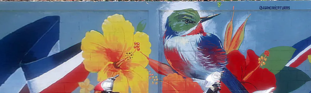 User banner image