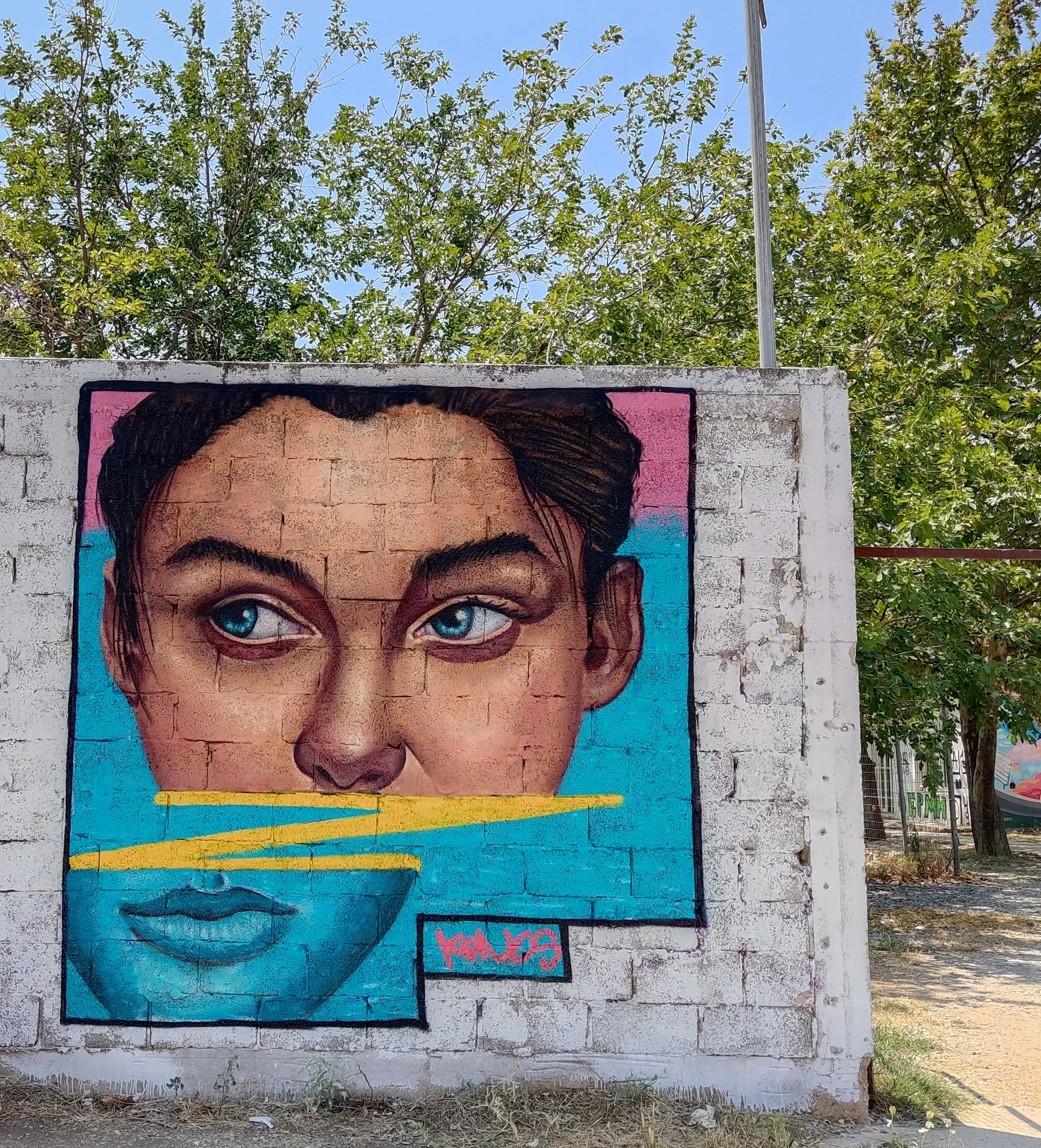 53912645190 24b42d75b1 k