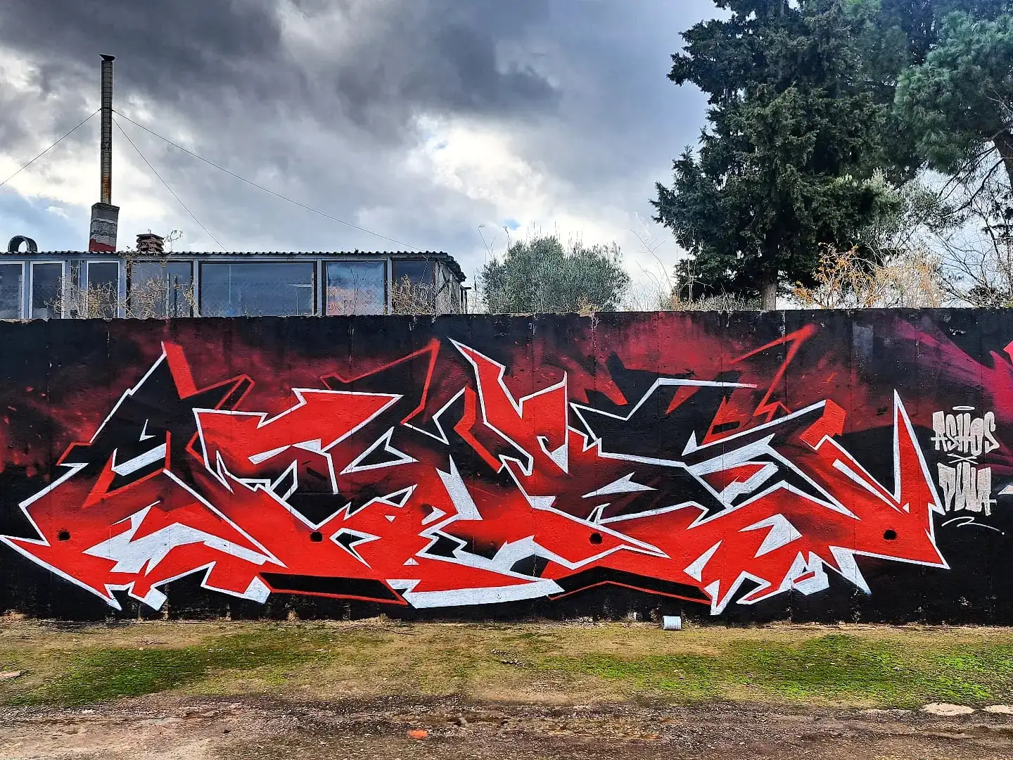 IMG 20240627 101155 246