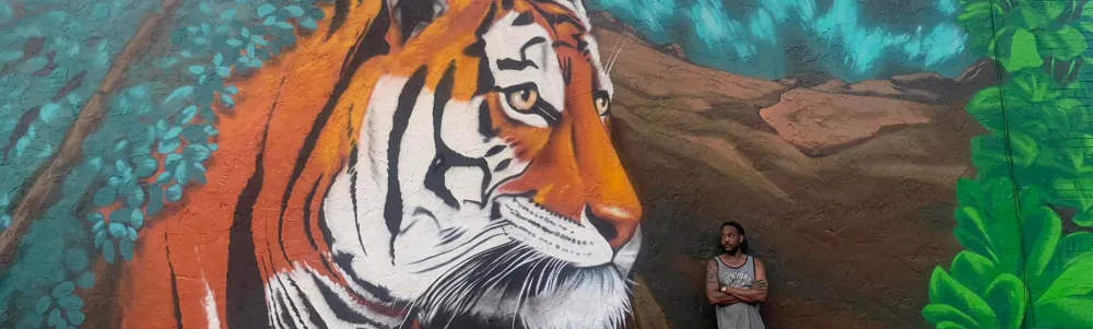 User banner image
