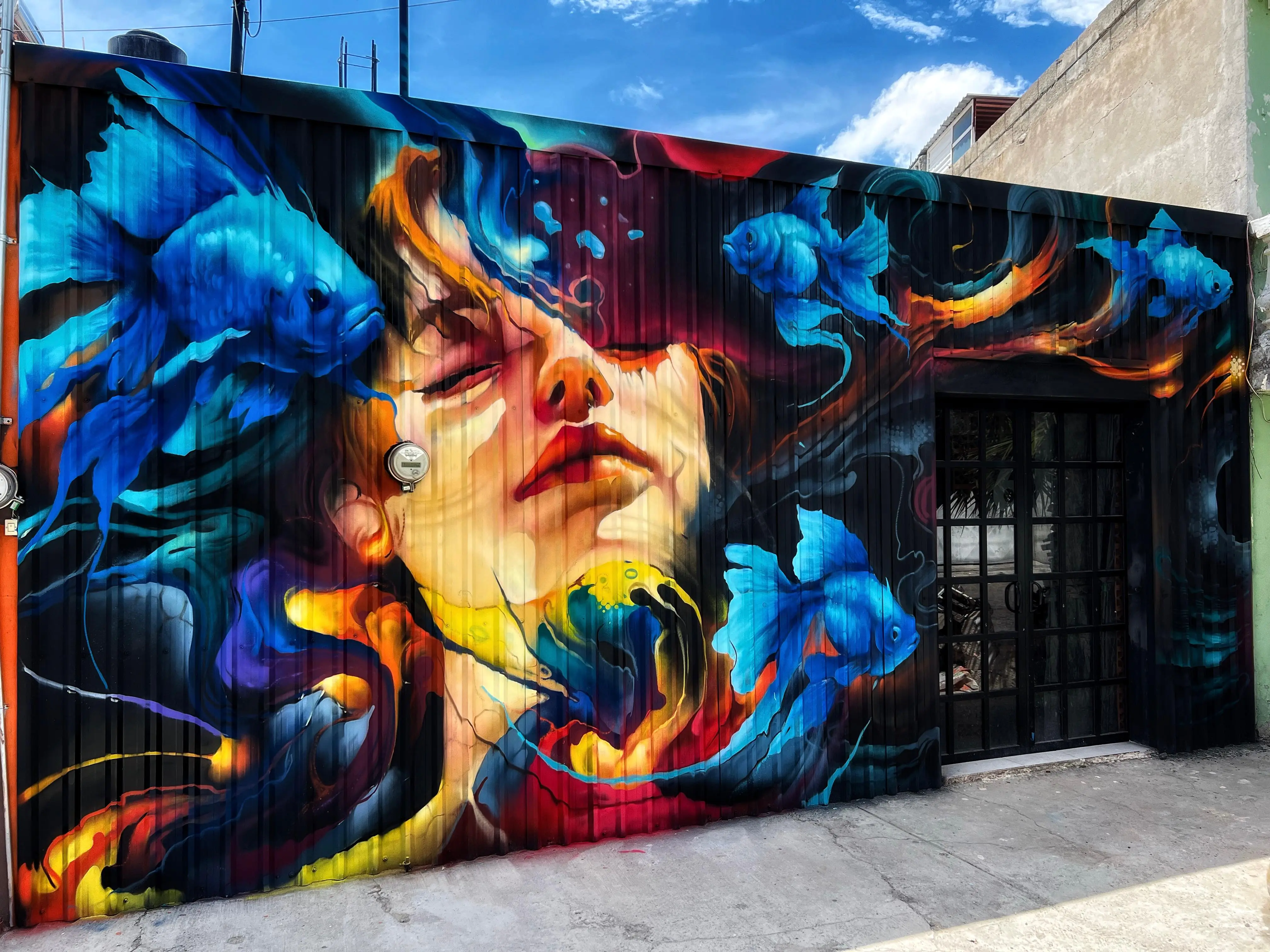 WhatsApp Image 2024 09 05 at 4.42.31 PM