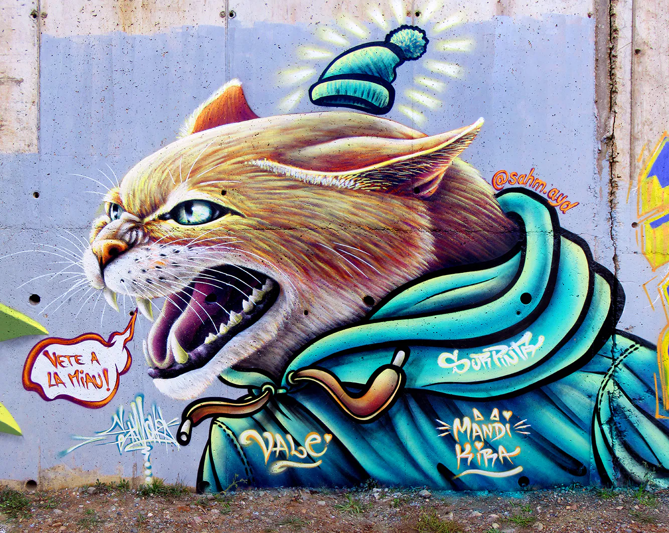 SAHM GATO ENOJAO VALDIVIA