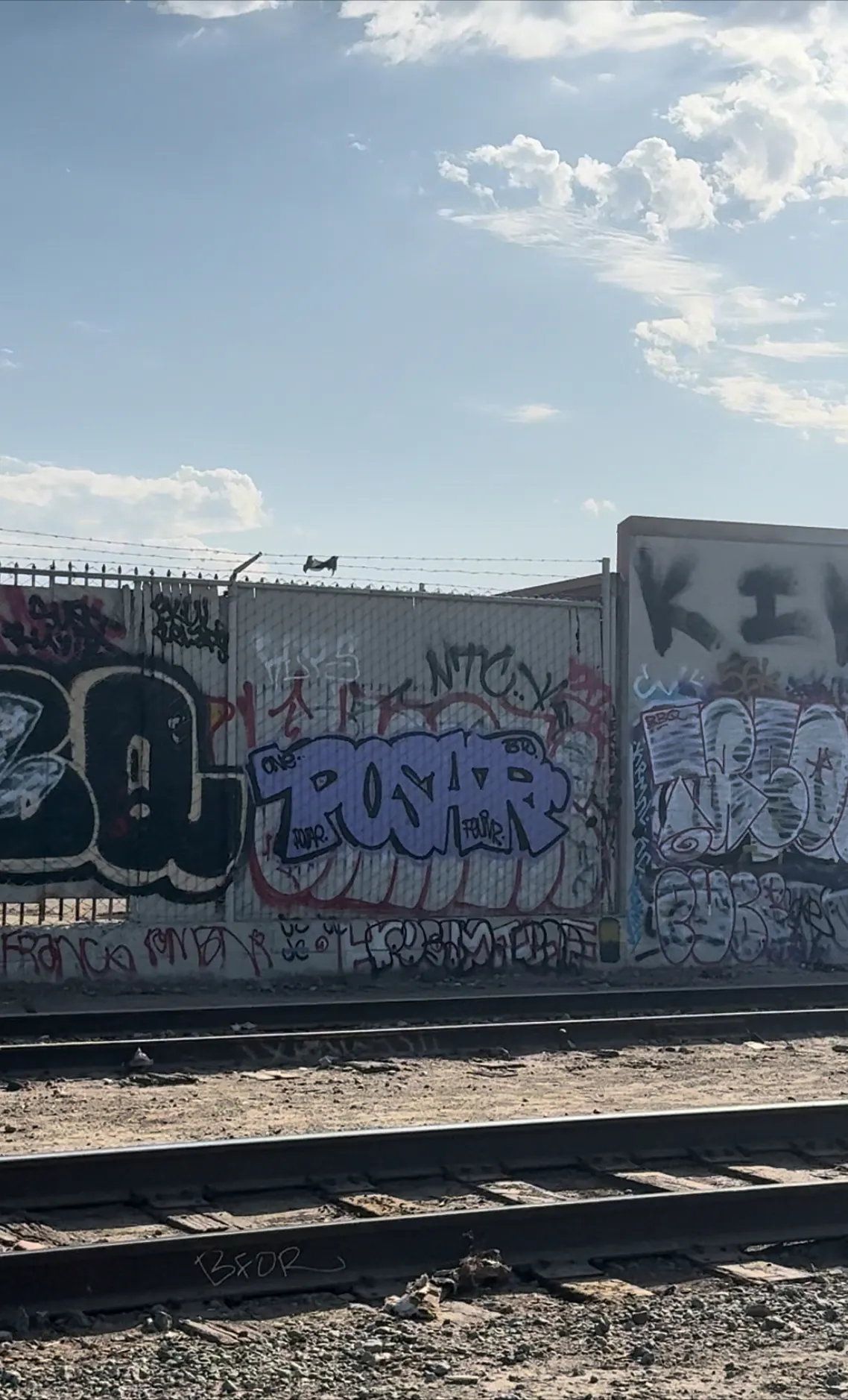 IMG 0618