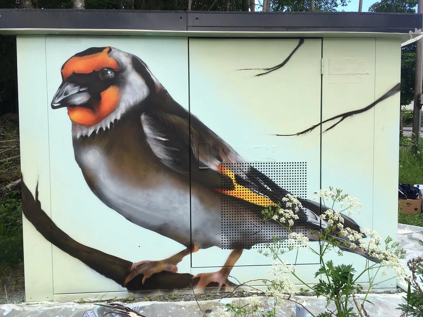 349F21E2 4E76 43B2 8721 96E62BB73230 copy