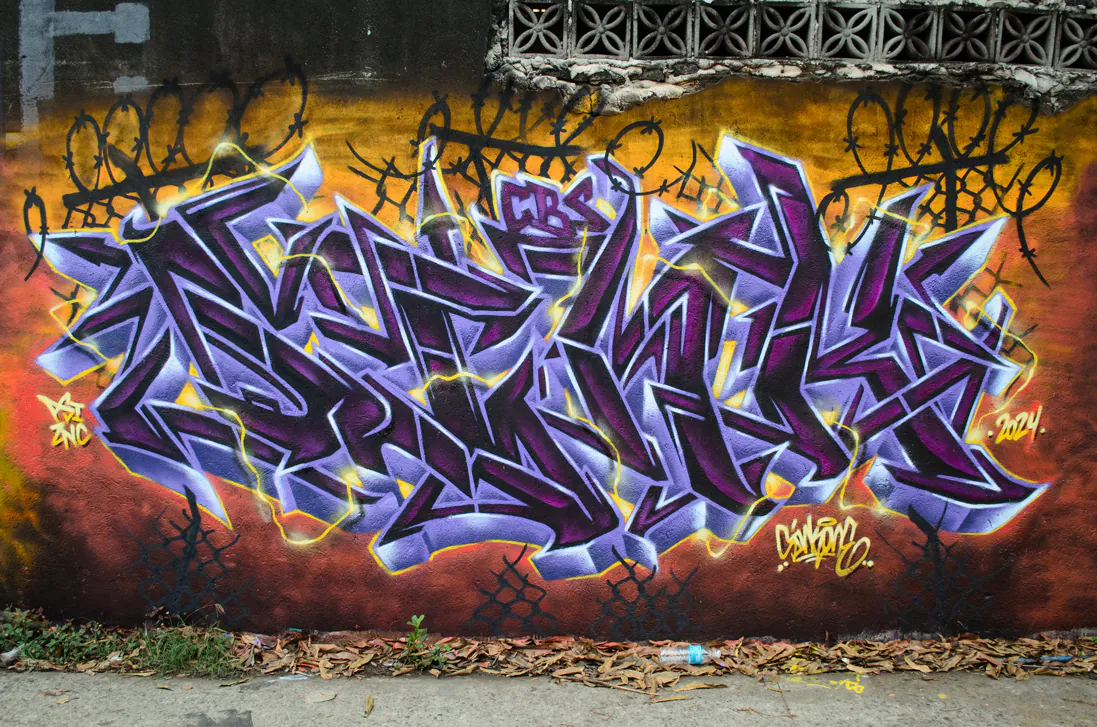 54137242186 24be285df7 o 1