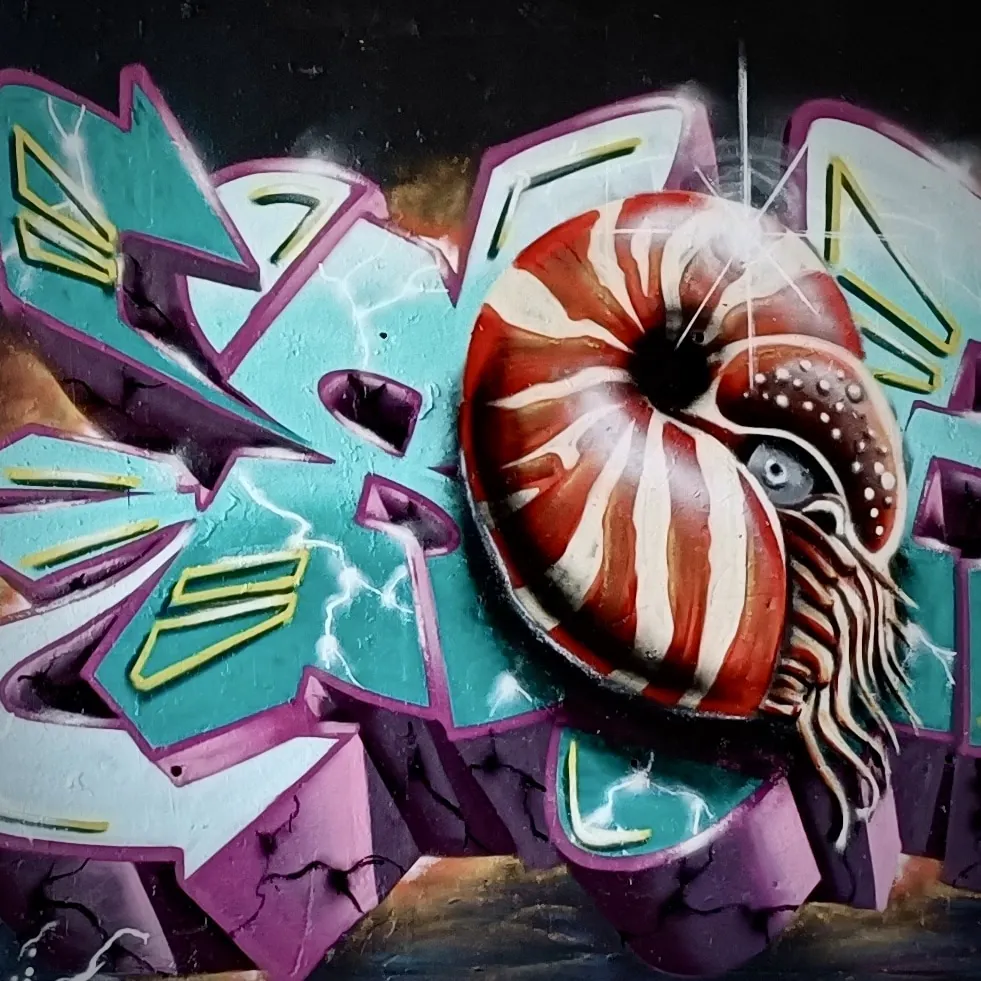 IMG20230924163509 Original 2