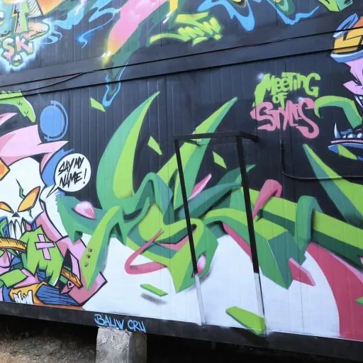 IMG 2489 - Meeting of Styles: International Street Art & Graffiti