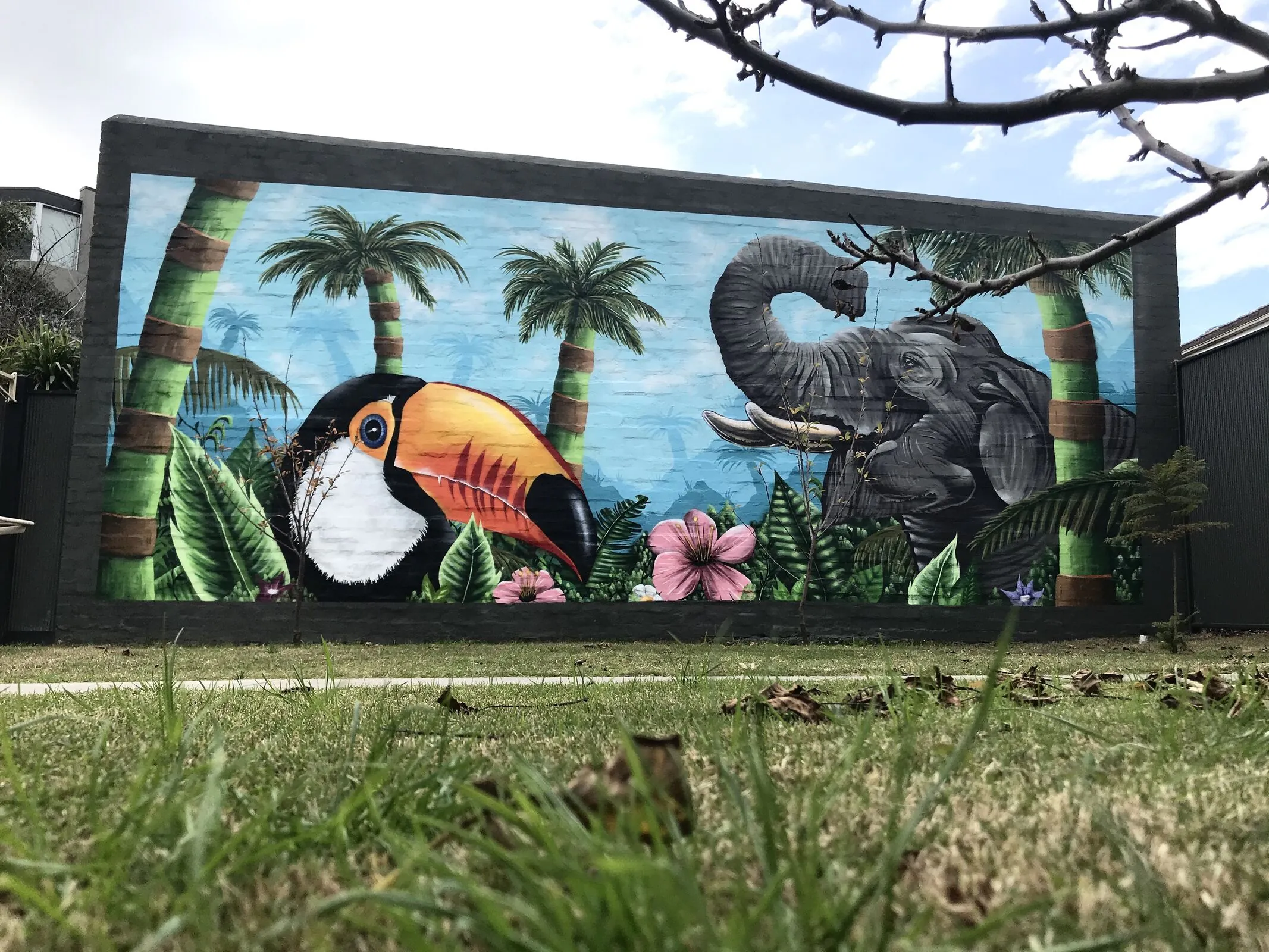 IMG 9828 optimized 1000