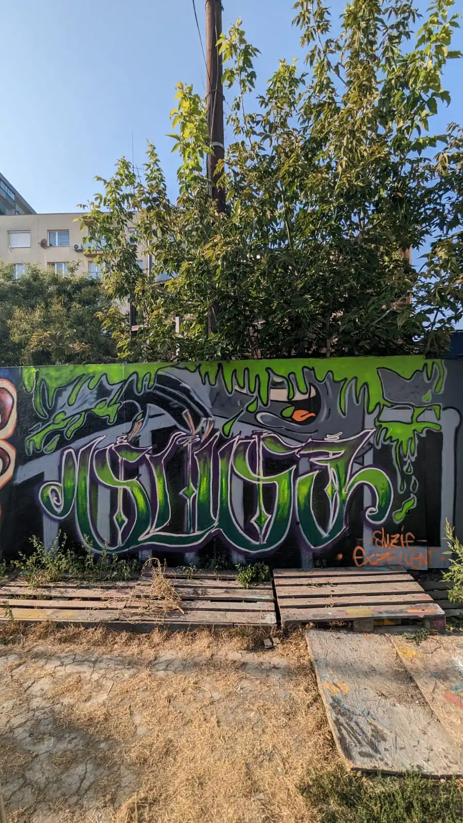 WhatsApp Image 2025 01 20 at 10.47.27