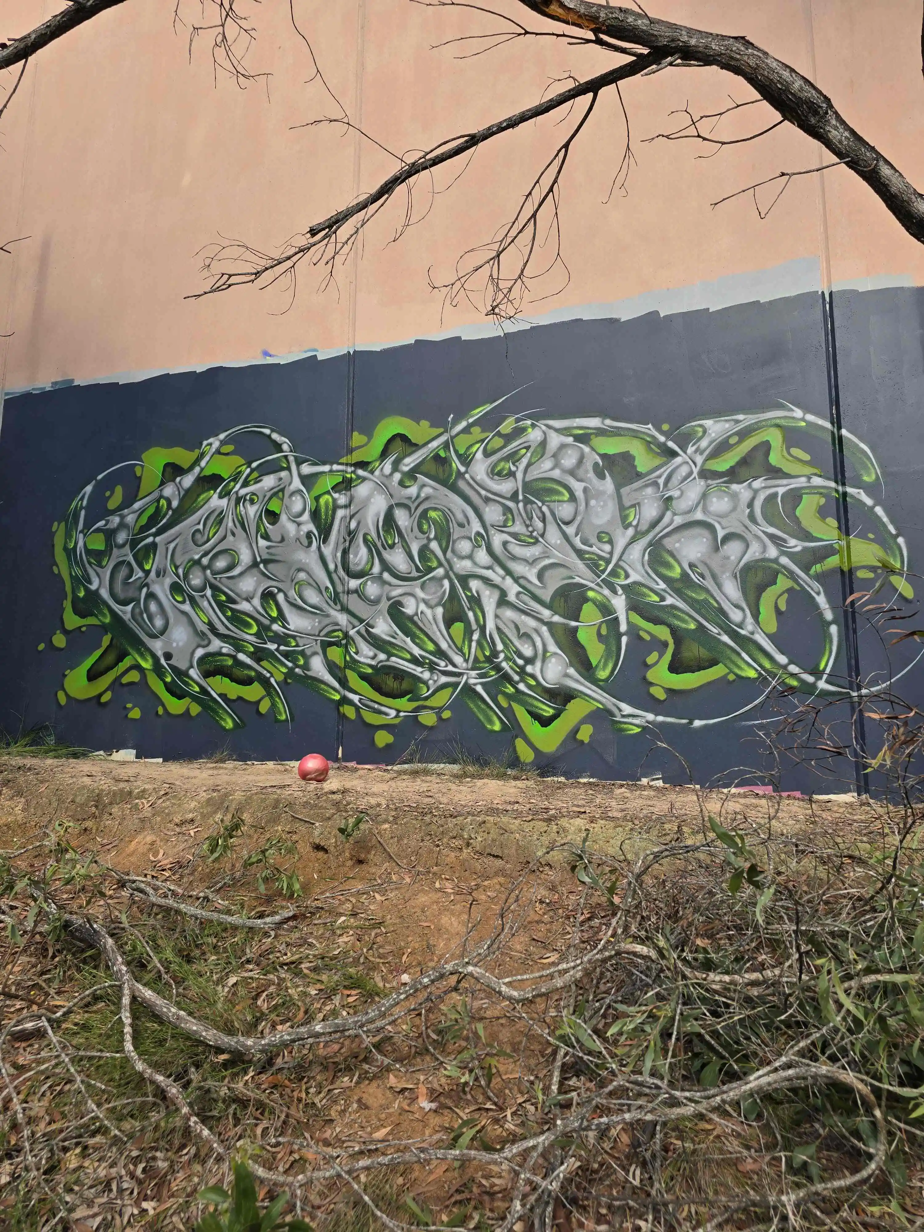 20250201 153422 1