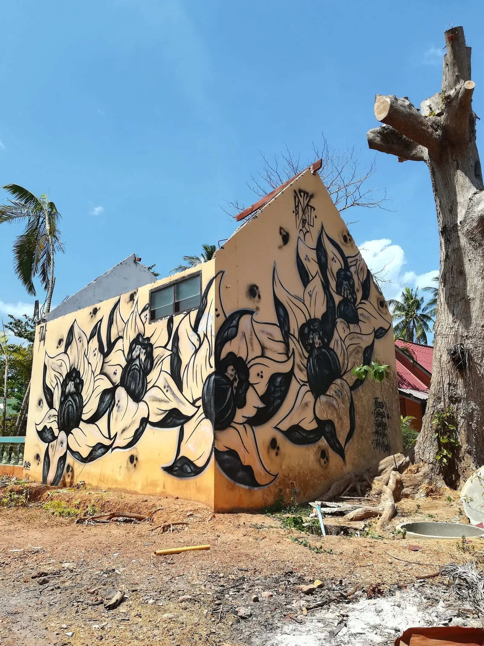 80BA552E 1198 476C 842C 90D37D5061F2 optimized 1000